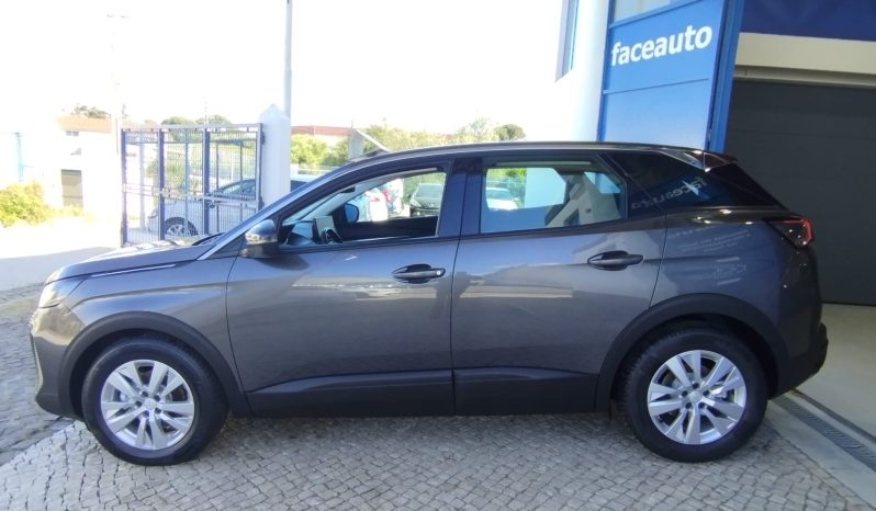 Peugeot 3008 completo