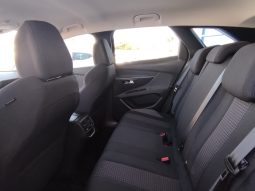 Peugeot 3008 completo