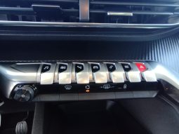 Peugeot 3008 completo