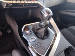 Peugeot 3008 completo