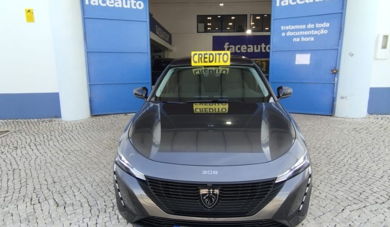 Peugeot 308 SW completo