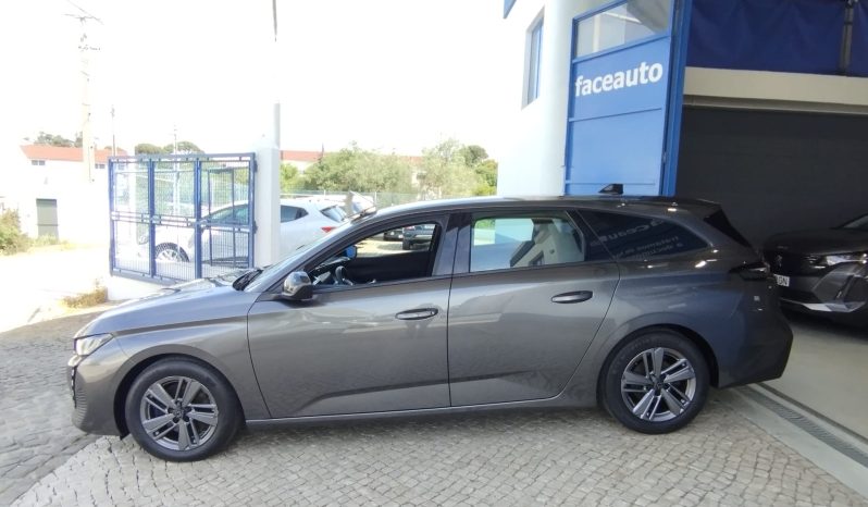 Peugeot 308 SW completo