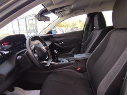 Peugeot 308 SW completo