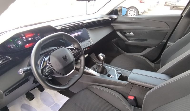 Peugeot 308 SW completo