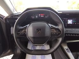 Peugeot 308 SW completo