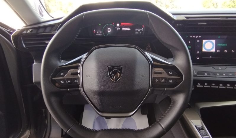 Peugeot 308 SW completo