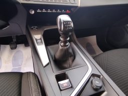 Peugeot 308 SW completo