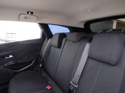 Peugeot 308 SW completo