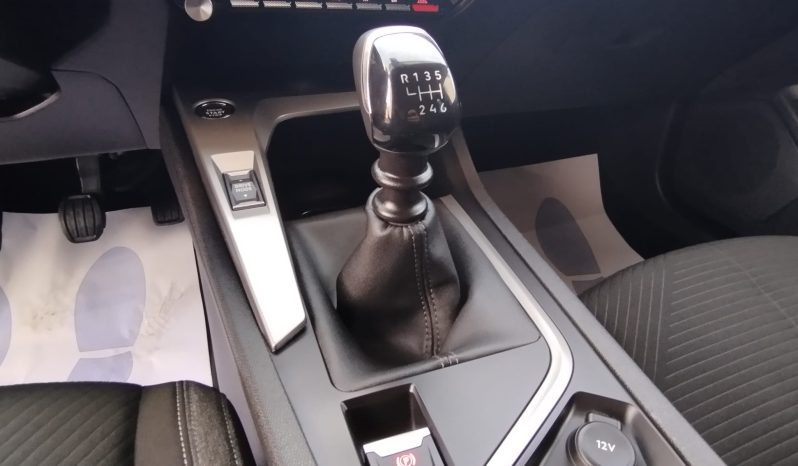 Peugeot 308 SW completo