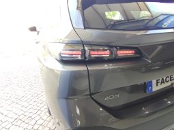 Peugeot 308 SW completo