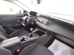 Peugeot 308 SW completo