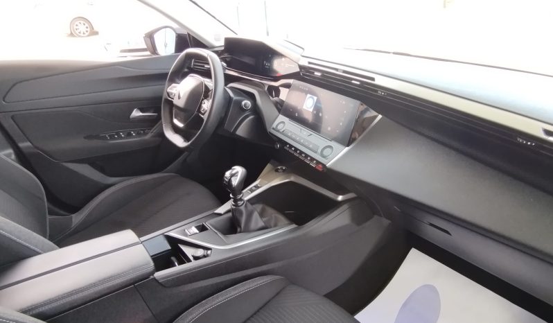 Peugeot 308 SW completo