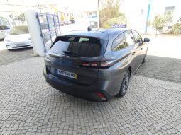 Peugeot 308 SW completo