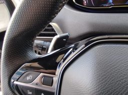 Peugeot 5008 cx Auto completo