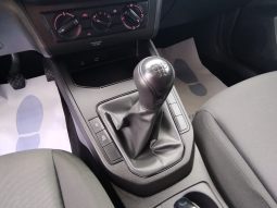Seat Ibiza completo