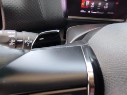 Citroen C4 completo