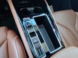 Skoda ENYAQ IV 80 completo