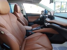 Skoda ENYAQ IV 80 completo