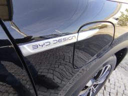 Byd ATTO 3 completo