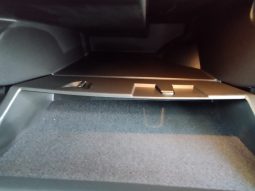 Renault Megane Plug-In R.S. Line completo