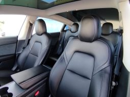 Tesla Model 3 completo