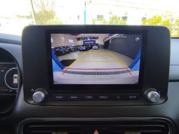 Hyundai KAUAI / Kona completo