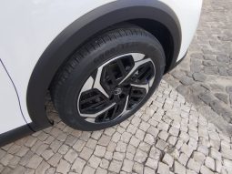 Citroen C4 completo