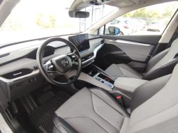 Skoda ENYAQ 80 completo