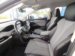 Skoda ENYAQ 80 completo