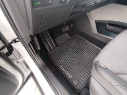 Skoda ENYAQ 80 completo