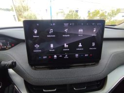 Skoda ENYAQ 80 completo