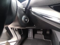 Skoda ENYAQ 80 completo