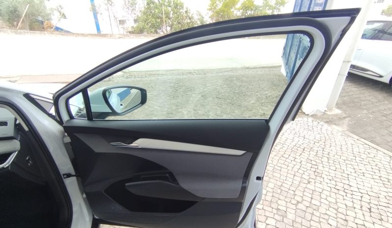 Skoda ENYAQ 80 completo
