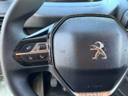 Peugeot Partner completo