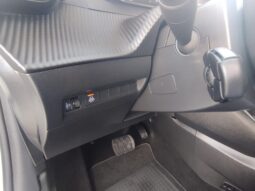 Peugeot e-208 completo