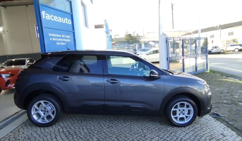 Citroen C4 Cactus completo