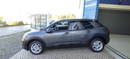 Citroen C4 Cactus completo