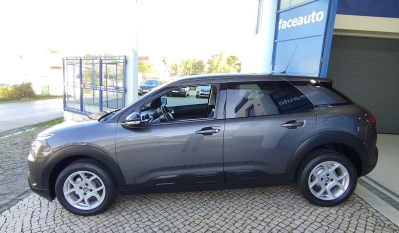 Citroen C4 Cactus completo