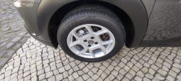 Citroen C4 Cactus completo