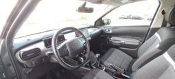 Citroen C4 Cactus completo