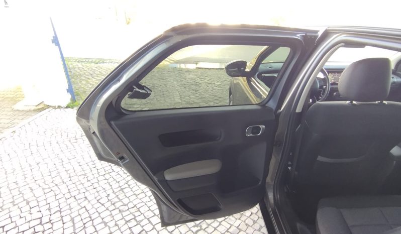 Citroen C4 Cactus completo