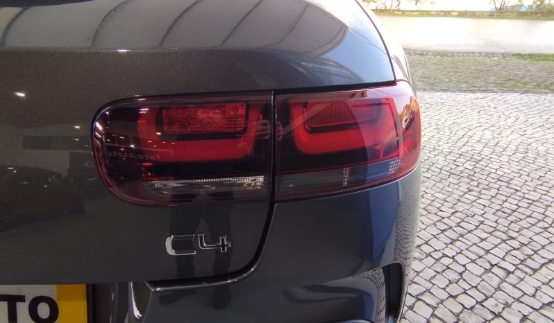 Citroen C4 Cactus completo