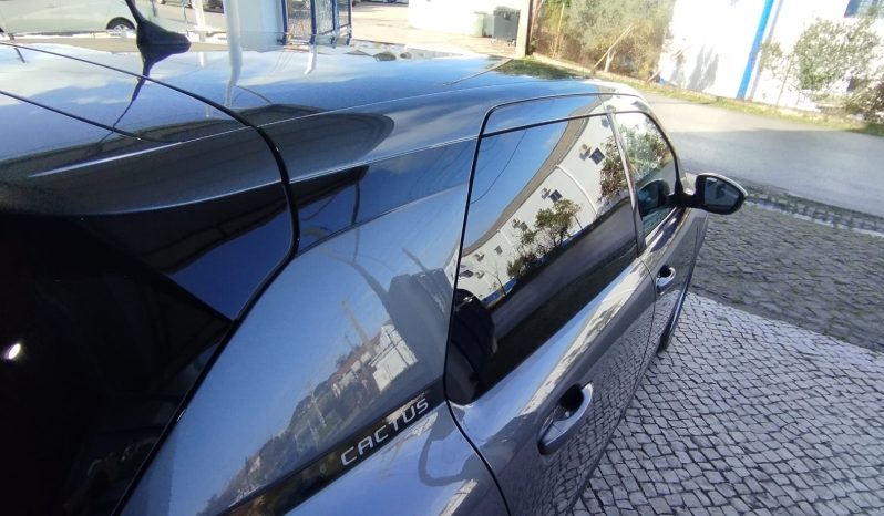 Citroen C4 Cactus completo