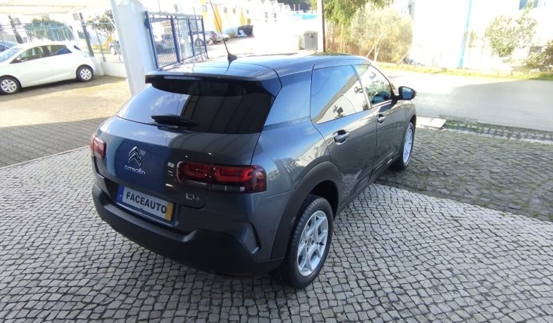 Citroen C4 Cactus completo