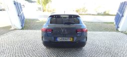 Citroen C4 Cactus completo