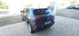 Citroen C4 Cactus completo