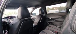 Peugeot 5008 completo