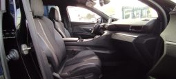 Peugeot 5008 completo