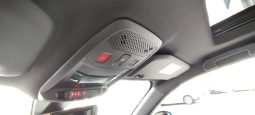 Peugeot e-2008 completo