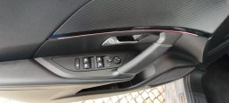 Peugeot e-2008 completo